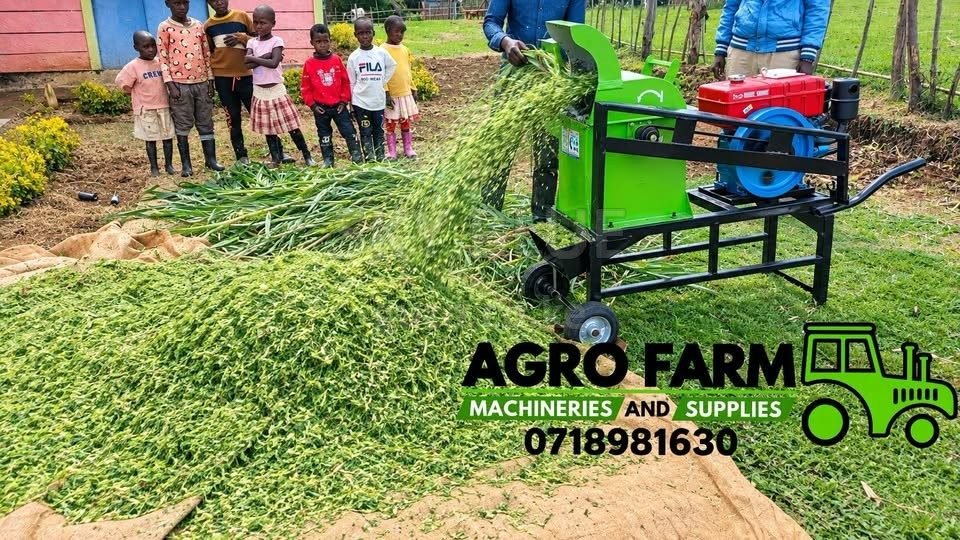 10Hp Diesel Choppermills for sale in Nakuru
