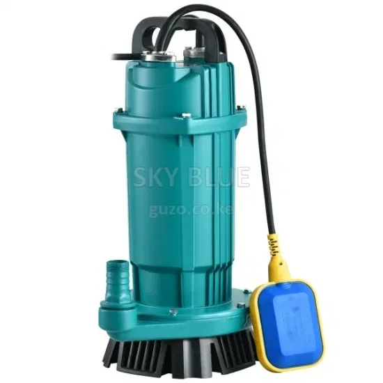 1HP Premier Shallow Well Water Pump in Kenya – 0.75kW