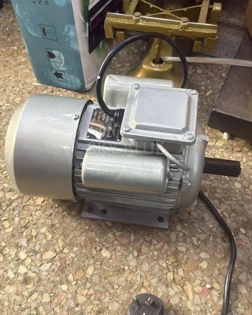 2HP ELECTRIC MOTOR